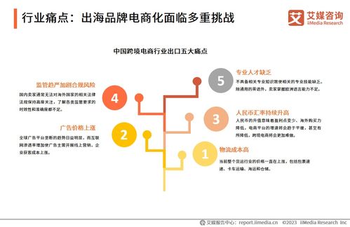 2023年中國品牌電商服務行業(yè)深度洞察 信息咨詢服務賦能品牌新增長